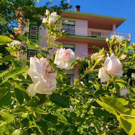 Appartement Fiori E Frutti - Monolocale Roses Almese