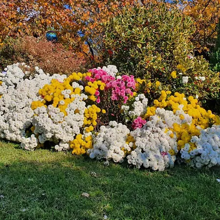 Apartament Fiori E Frutti - Monolocale Roses
