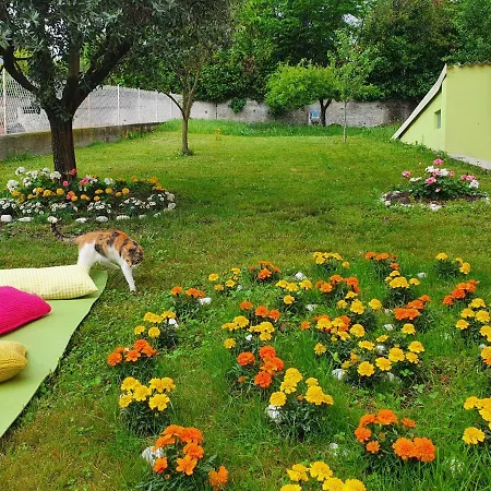 Appartement Fiori E Frutti - Monolocale Roses Almese
